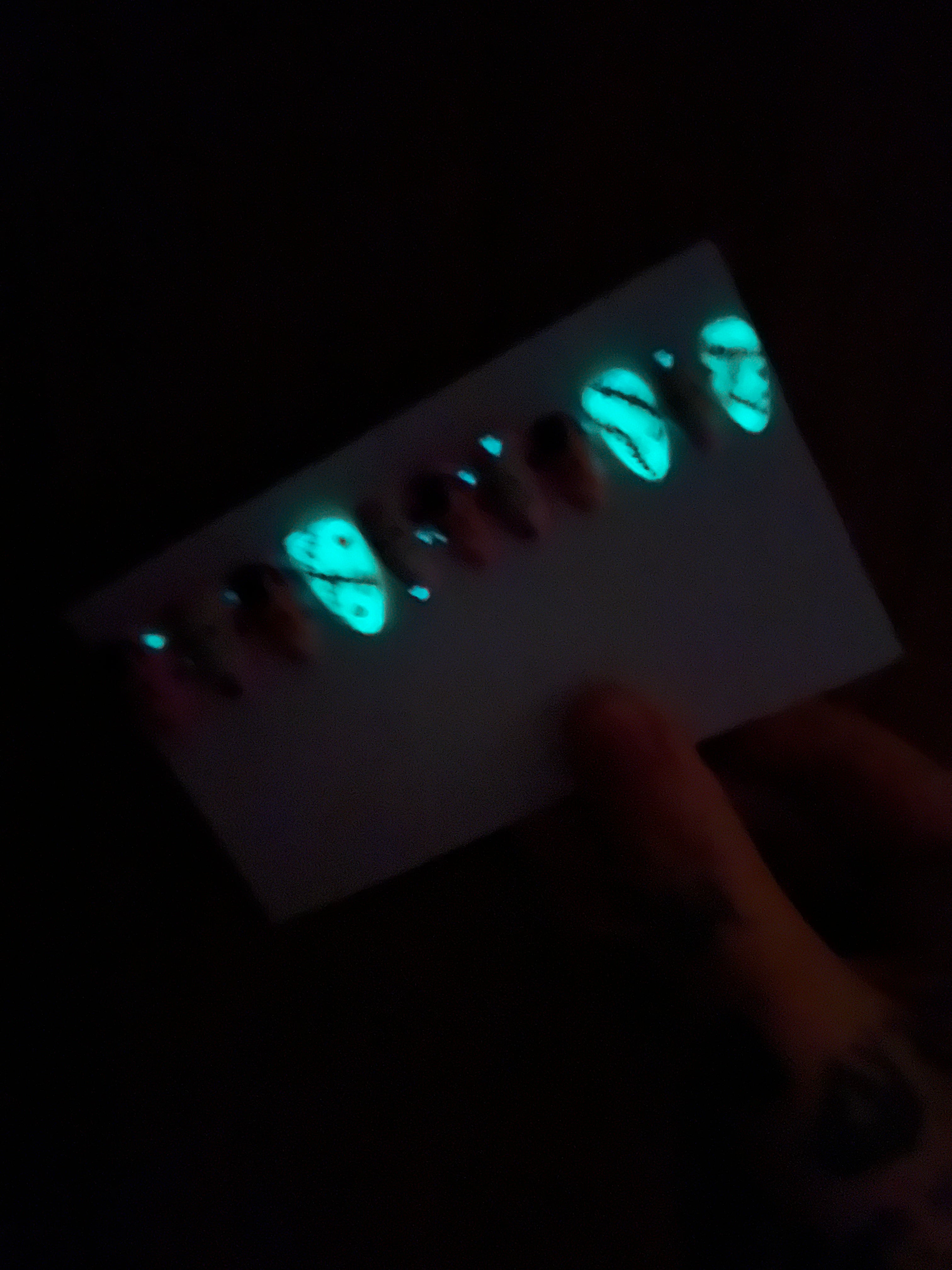 MADE TO ORDER Bear Bride and Monster press ons